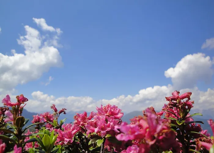 Hotel St-leonhard St. Leonhard im Pitztal