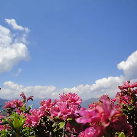Hotel St-leonhard Sankt Leonhard im Pitztal